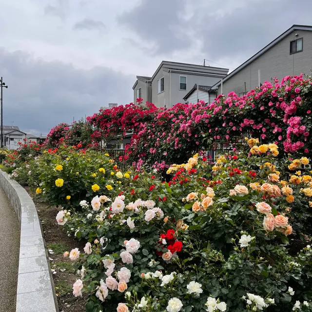 ばら苑アクセスロード