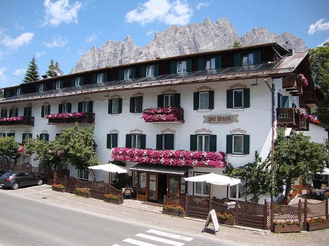 Hotel Menardi