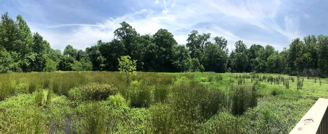 Oxbow Meadows Environmental Learning Center