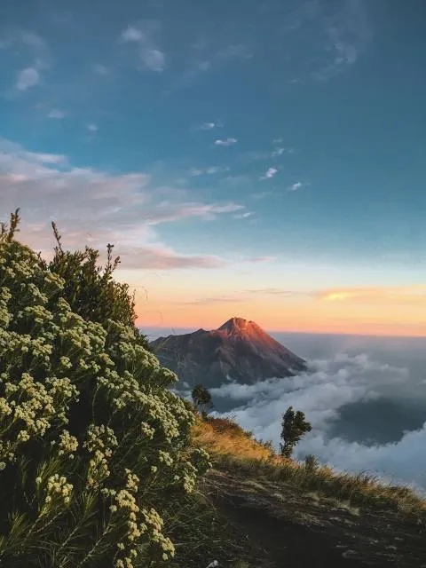 Kattadikadavu View Point