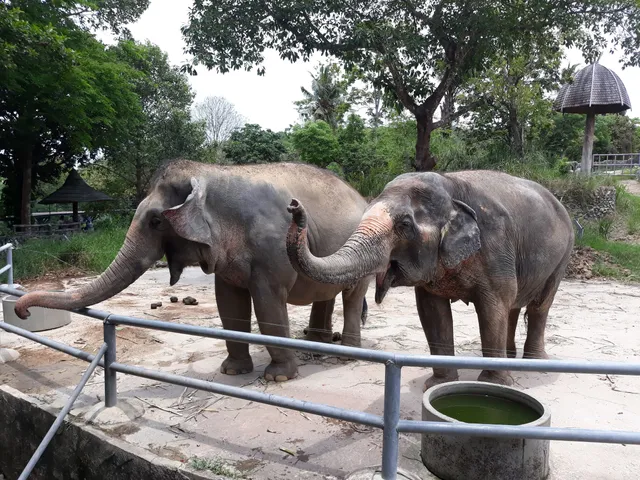 Songkhla Zoo