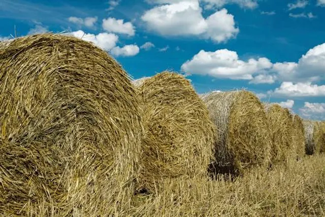 Environment Center Friesenheimer Busch