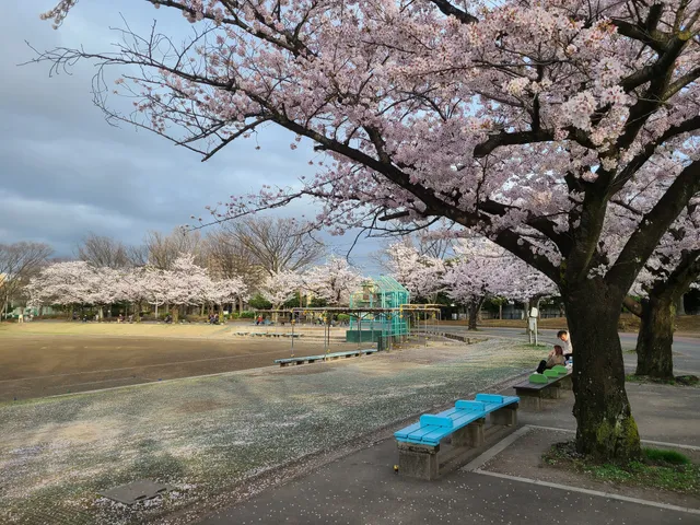 Shin-Koiwa Park