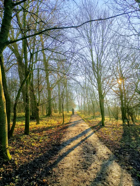 Rawcliffe Country Park