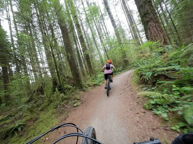 Soquel Demonstration State Forest