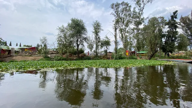 Trajineras-Trajitours