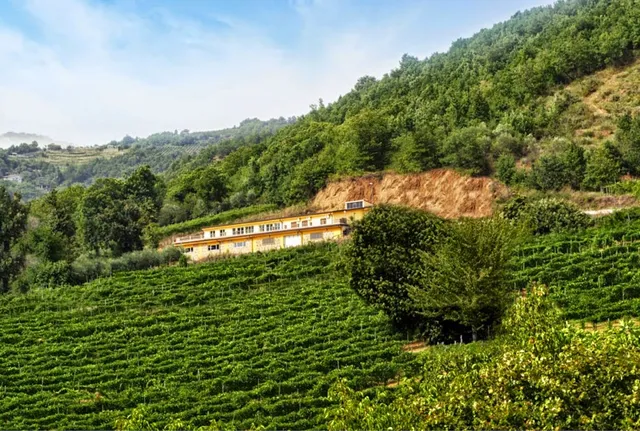 Cantina Sanpaolo di Claudio Quarta