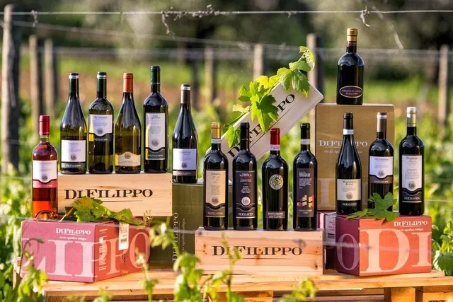 Cantina di Filippo