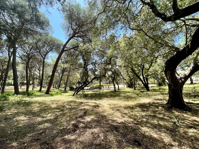 Área Recreativa El Jarillo