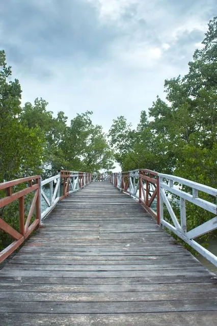 Kawasan Konservasi Hutan Mangrove "Jembatan Merah"