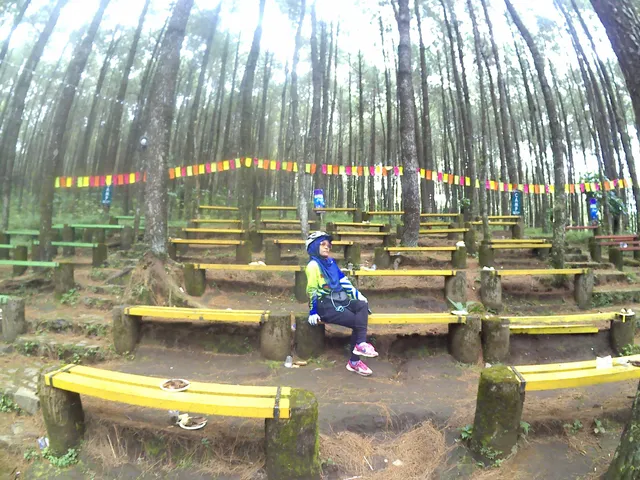 Pesona wisata alam kalipasang