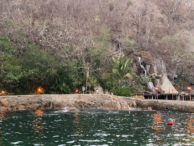 Rhythms of the Night