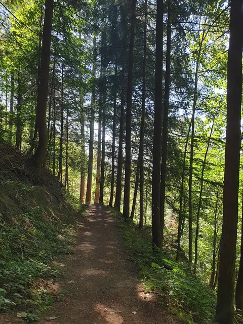 Lautenbacher Hexensteig