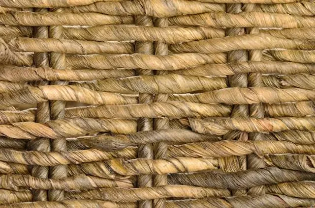 photo-1
