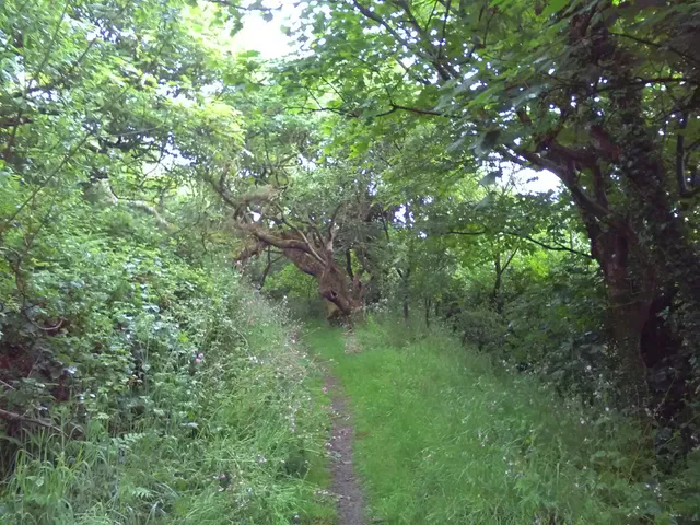 National Trust - Southwood Estate