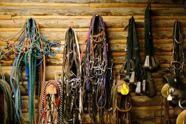 Shyoltozero Rjurik Lonin Vepsian Ethnographic Museum