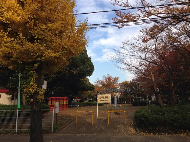 photo-3