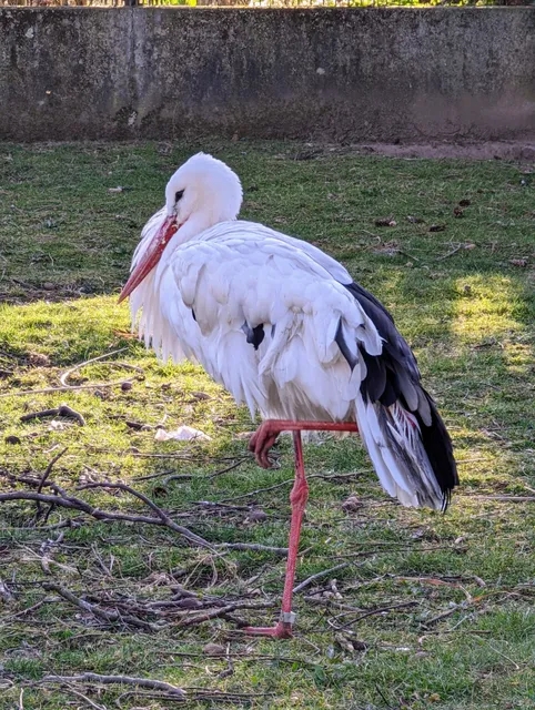 Vogelpark Stutensee-Friedrichstal