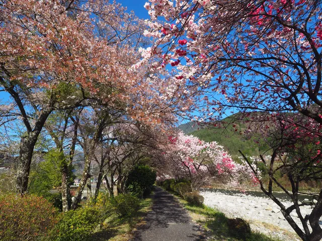 Okuwa Village Sports Park
