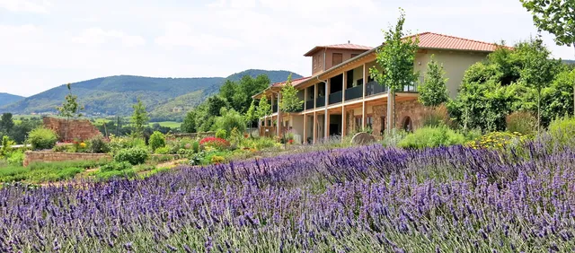 Kräutergarten Klostermühle