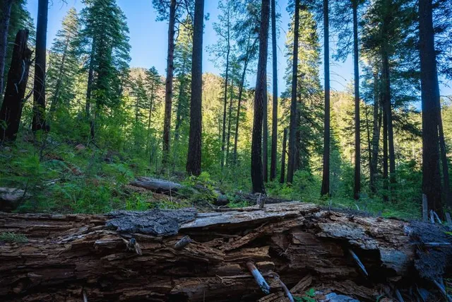 See Canyon Trailhead