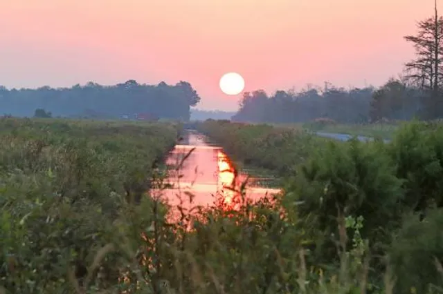 Alligator River National Wildlife Refuge