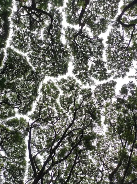 Ngrowo Bening Edu Park Kota Madiun