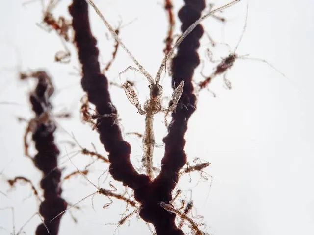 Hutan Kota Patriot Bina Bangsa Kota Bekasi