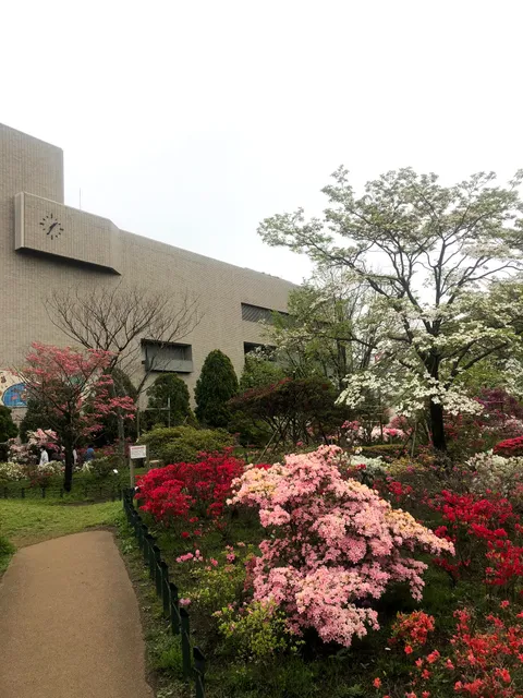 Heisei Tsutsuji Park