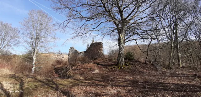 Ruine Dreimühlen