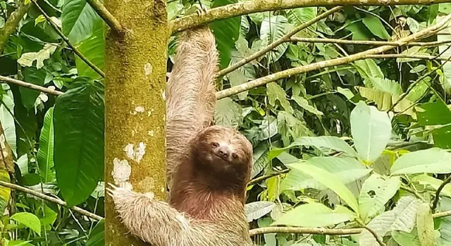 Alex On The Beach Tours