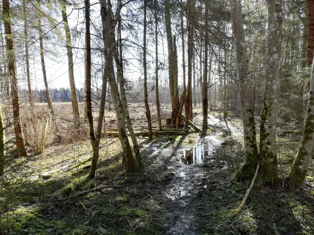 Ennuksemäe matkarada