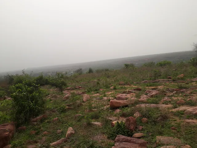 place image