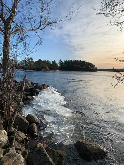 Romanäs naturreservat