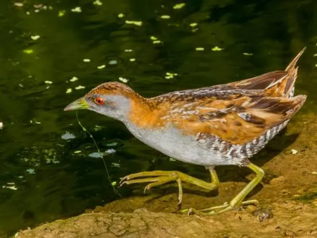 Témiscouata-sur-le-Lac