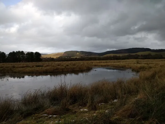 Moffat Community Nature Reserve