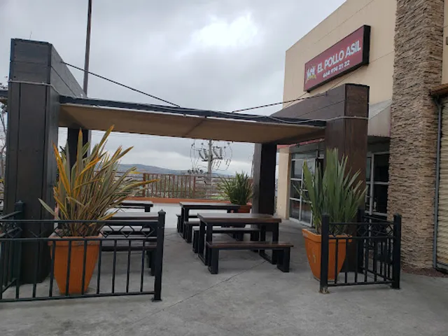 El Pollo Asil