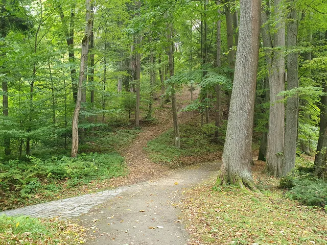 Park Zdrojowy w Krynicy Zdrój