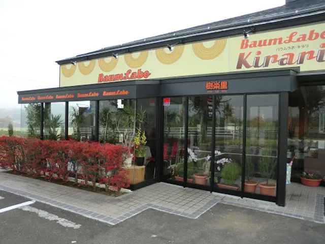 バウムラボ樹楽里 松川本店