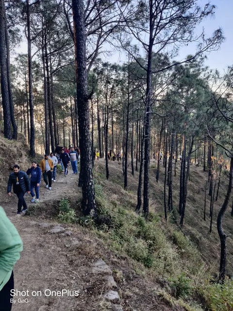 Kasauli Trekking