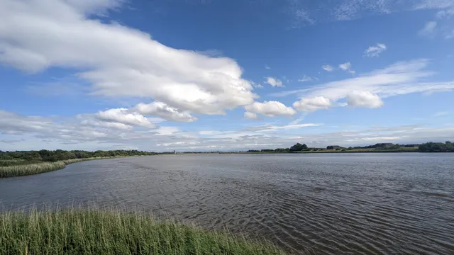 Cambus Pools Nature Reserve