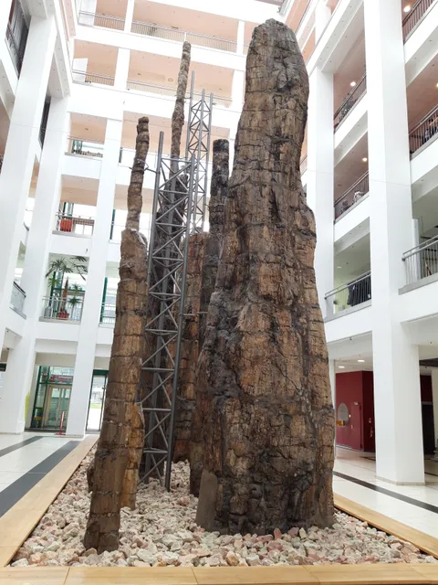 Museum für Naturkunde