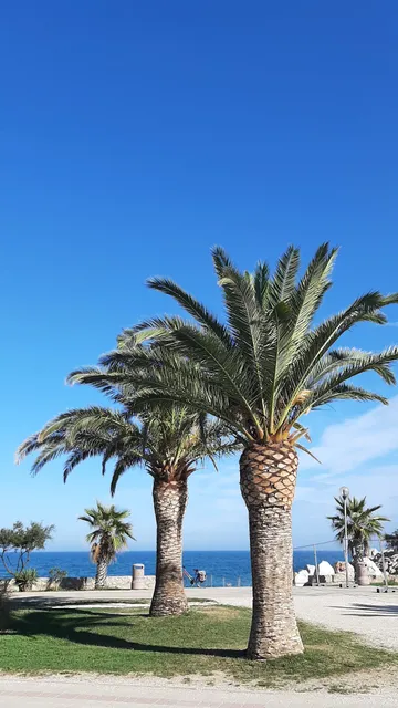 Promenade du Front de Mer