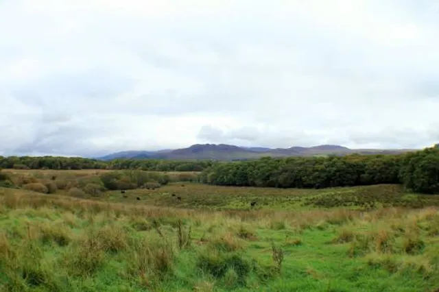 RSPB Scotland Loch Lomond