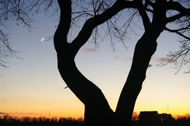 Darenth Country Park