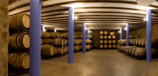 Bodegas Toribio (Viña Puebla)