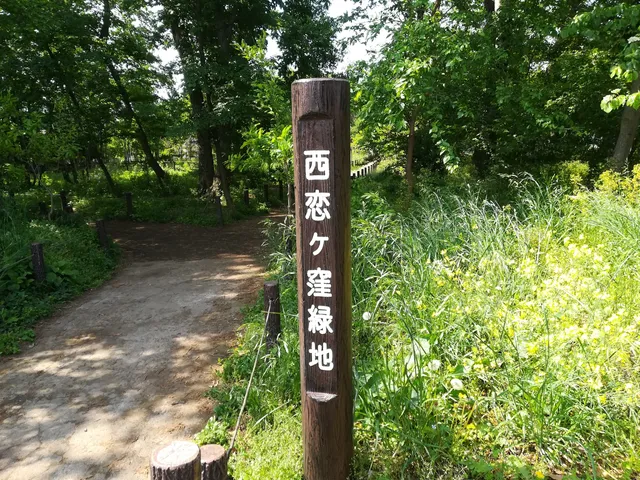 Nishikoigakubo Ryokuchi Park