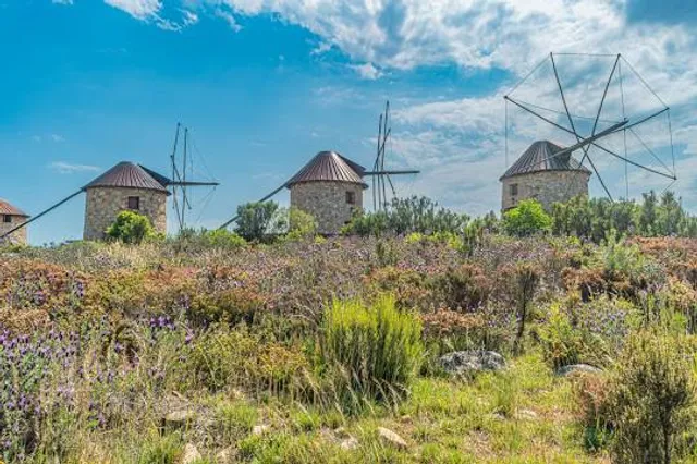 Moinhos da Serra da Atalhada
