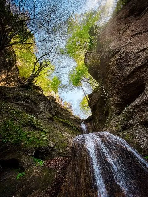 Ebenthal in Kärnten