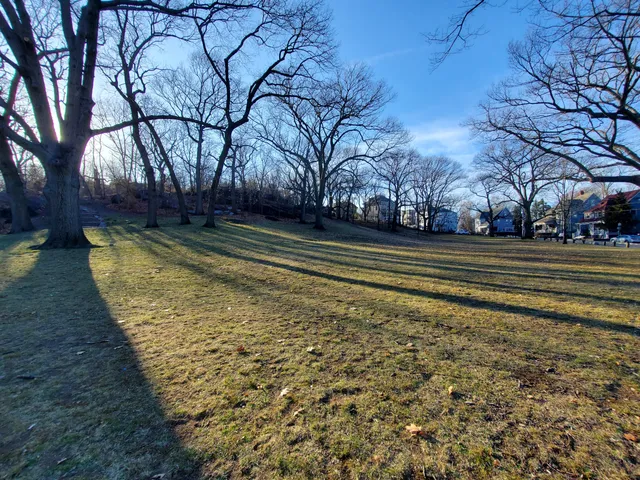 Savin Hill Park